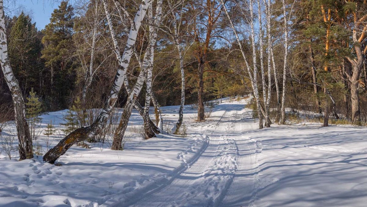 Месяц март природа