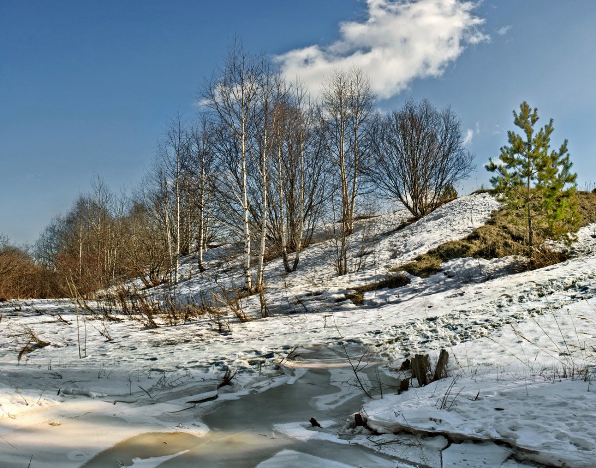 Апрель природа