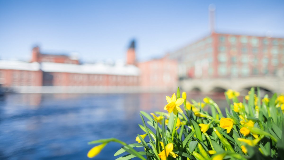 Весна в Финляндии