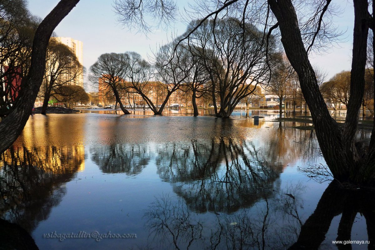 Апрель природа Санкт Петербург