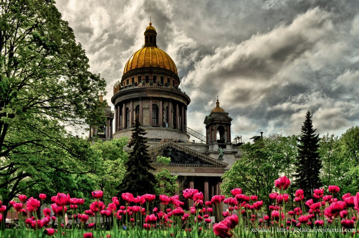 Исаакиевский собор цветы