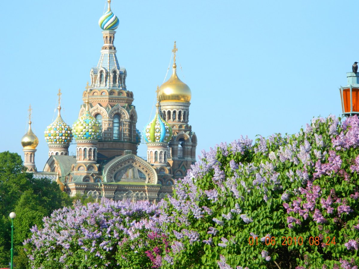 Весенний Санкт-Петербург спас на крови