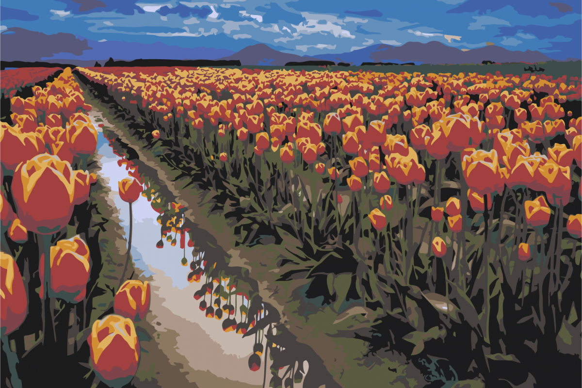 Долина тюльпанов в Голландии