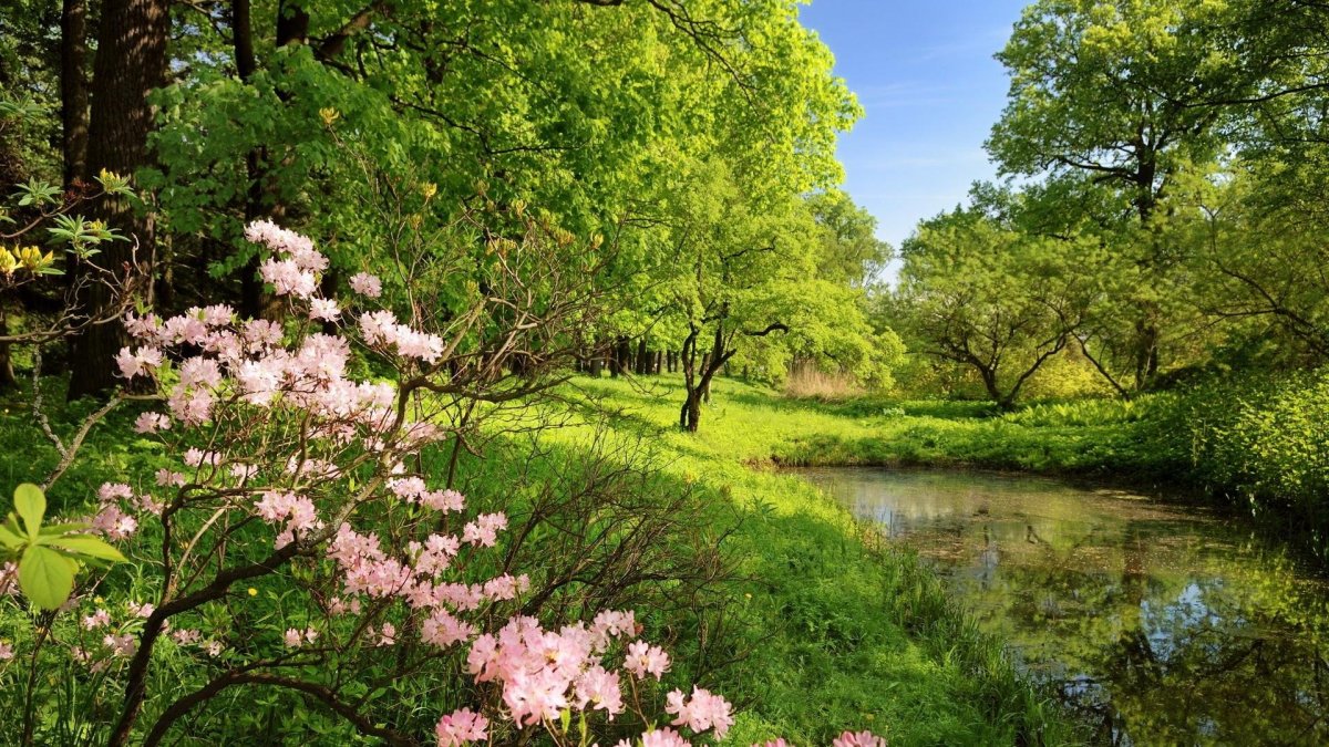 Весна пейзаж