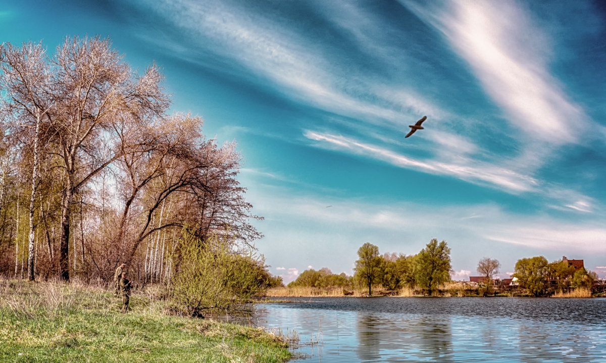 Весенний пейзаж картинки