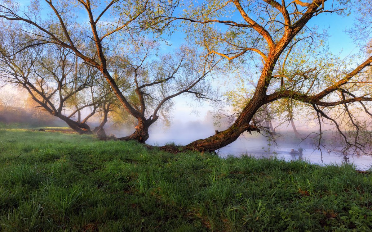 Весна пейзаж