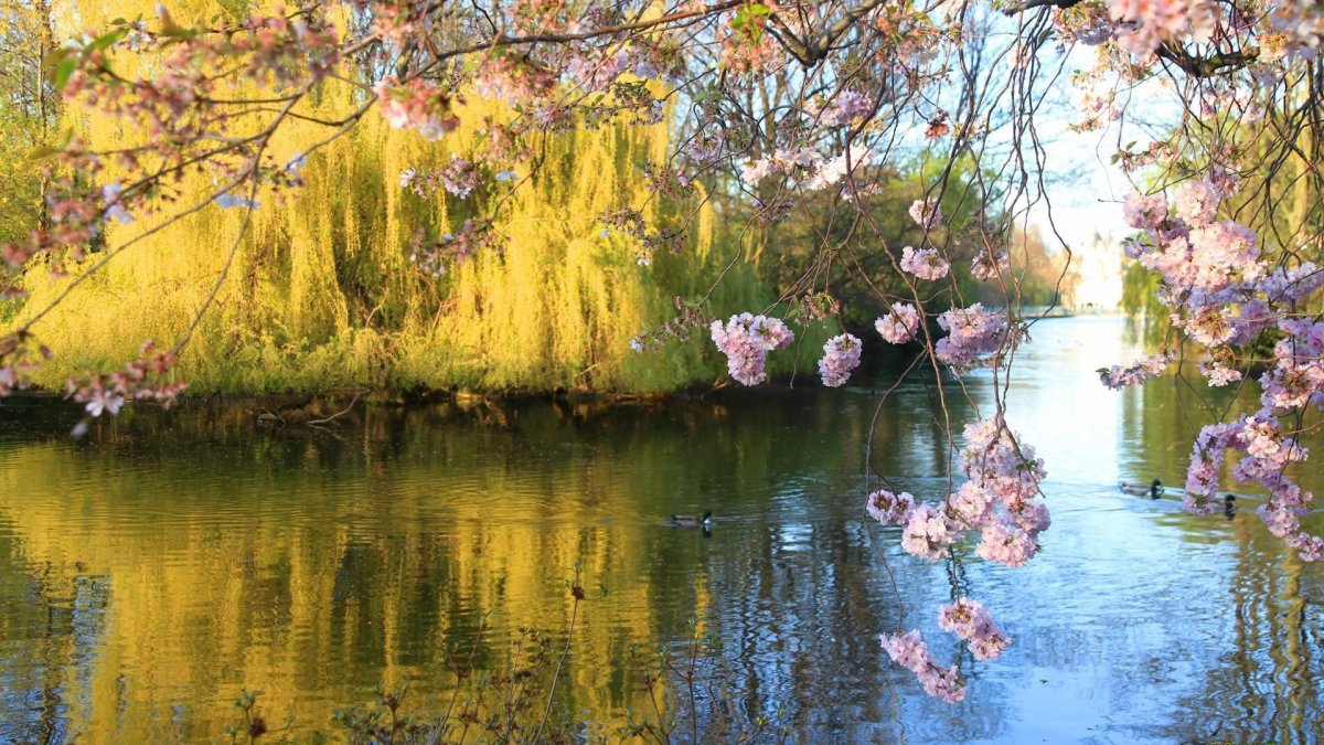 Весенний пейзаж с водой