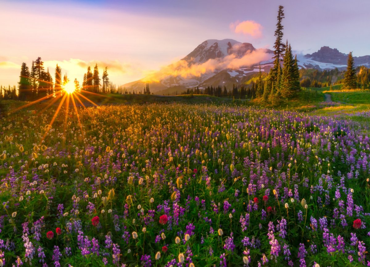 Красивый пейзаж