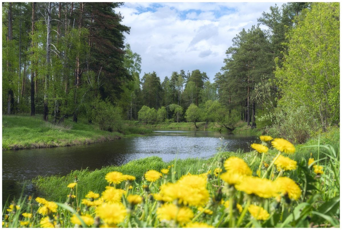 Природа Подмосковья