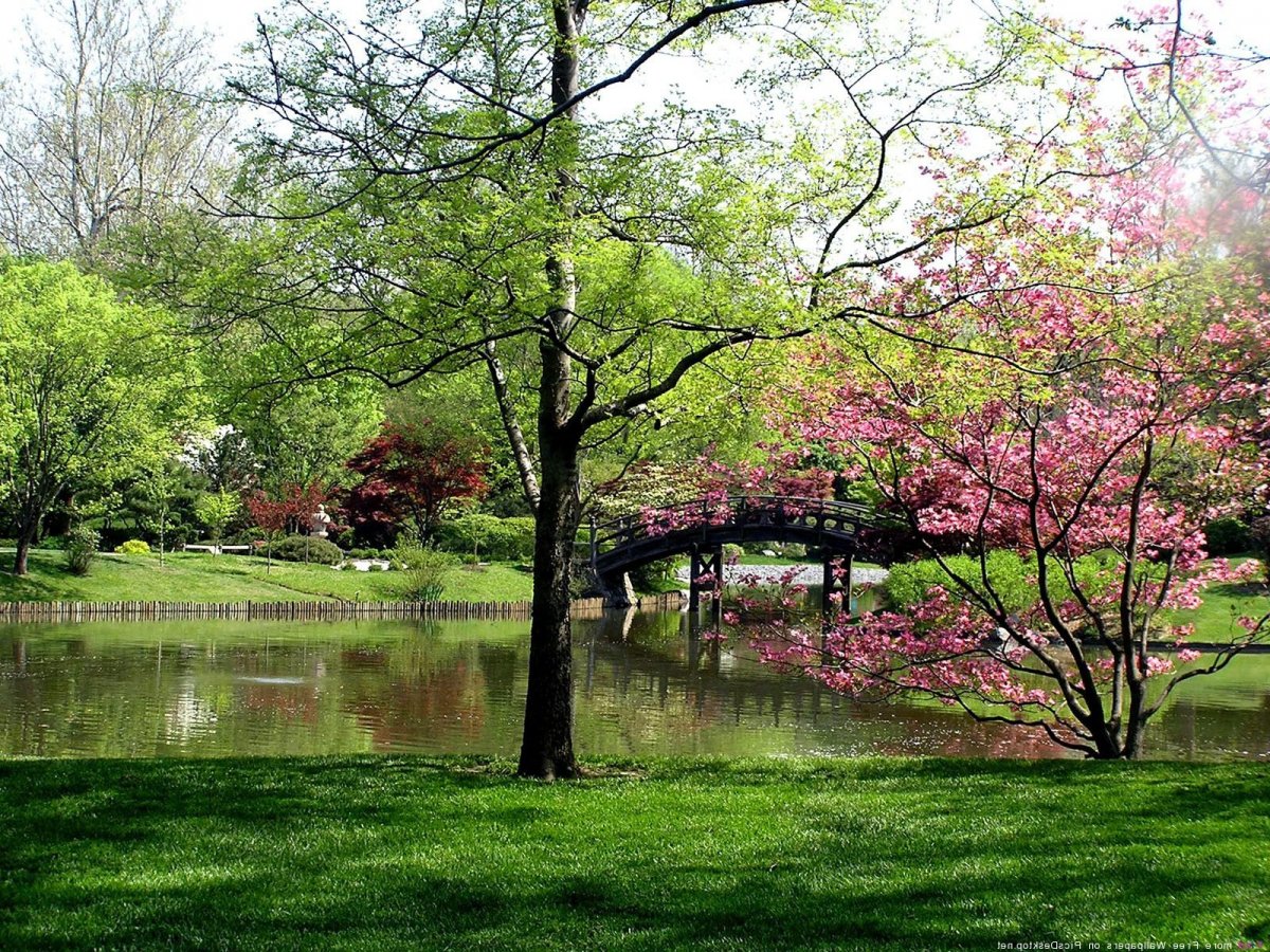 Весна природа