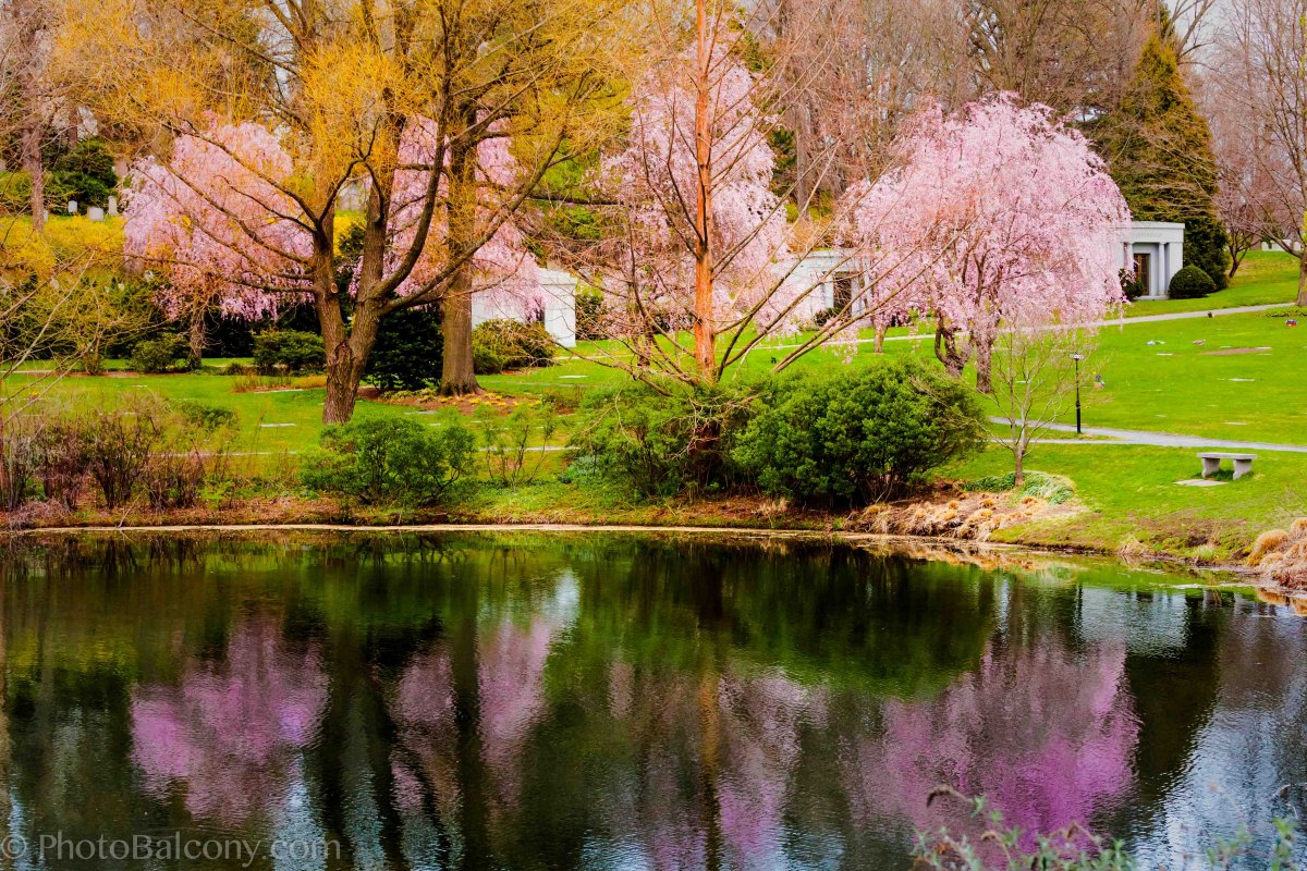 Время года Весна