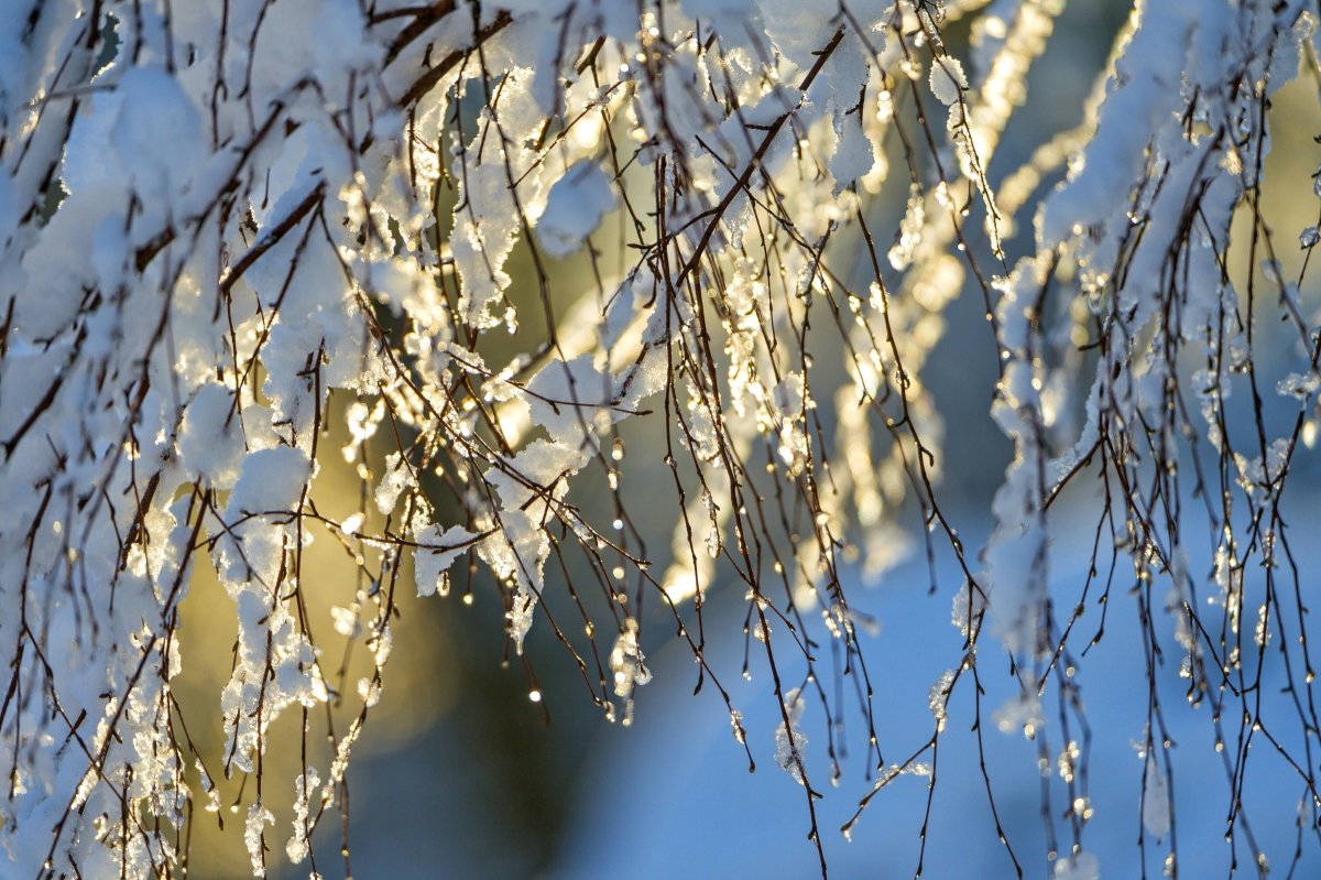 Ранняя Весна солнце