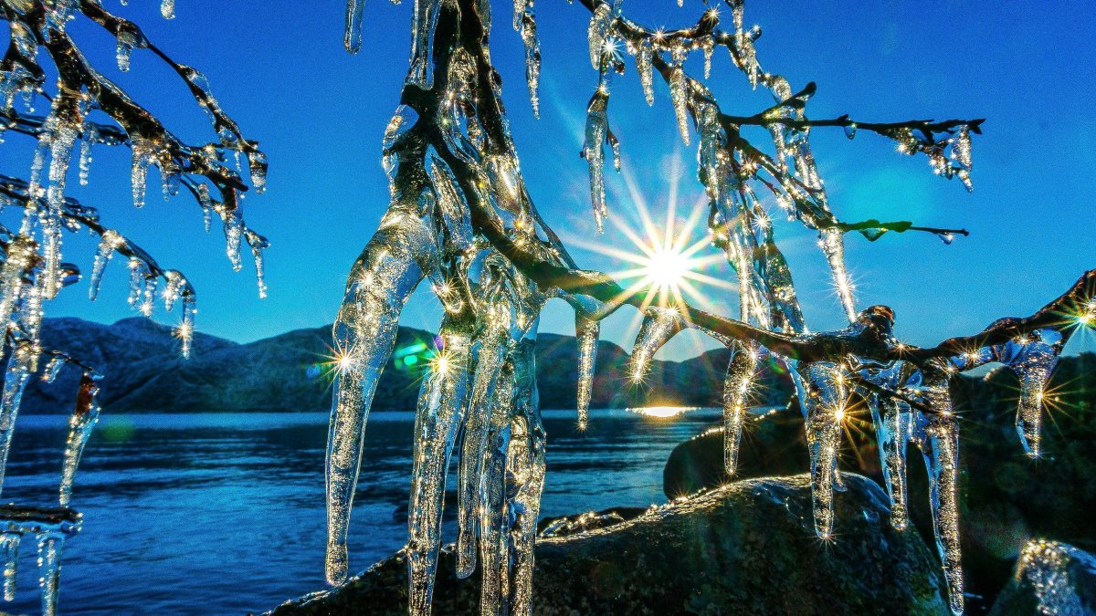 Весна капель солнце