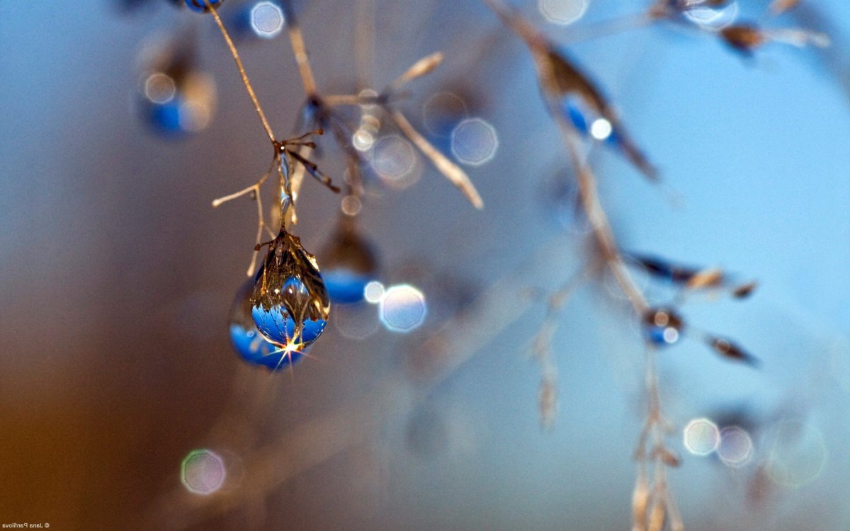 Весенняя капель