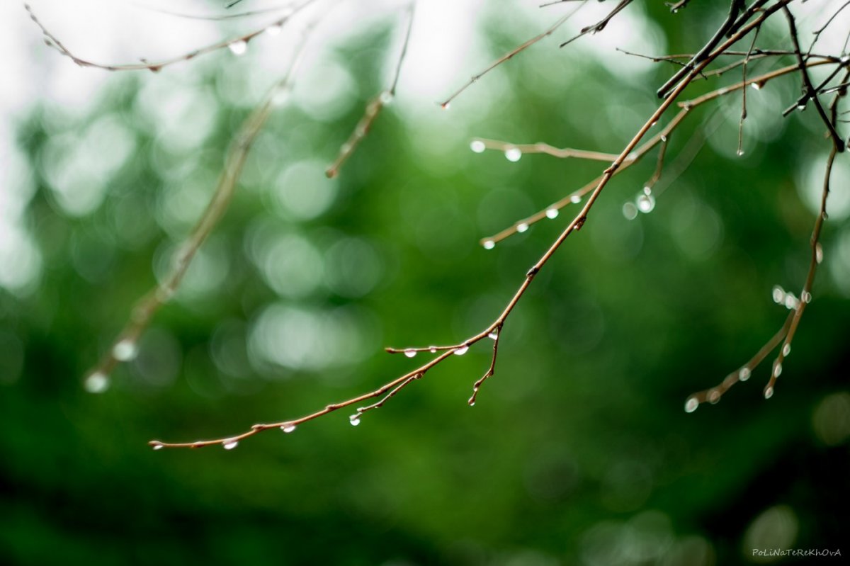 Весна капель фон