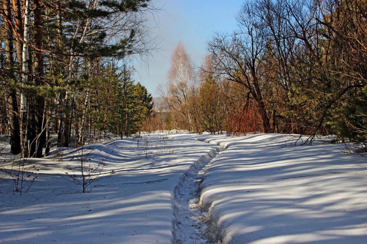 Ранняя Весна в Сибири