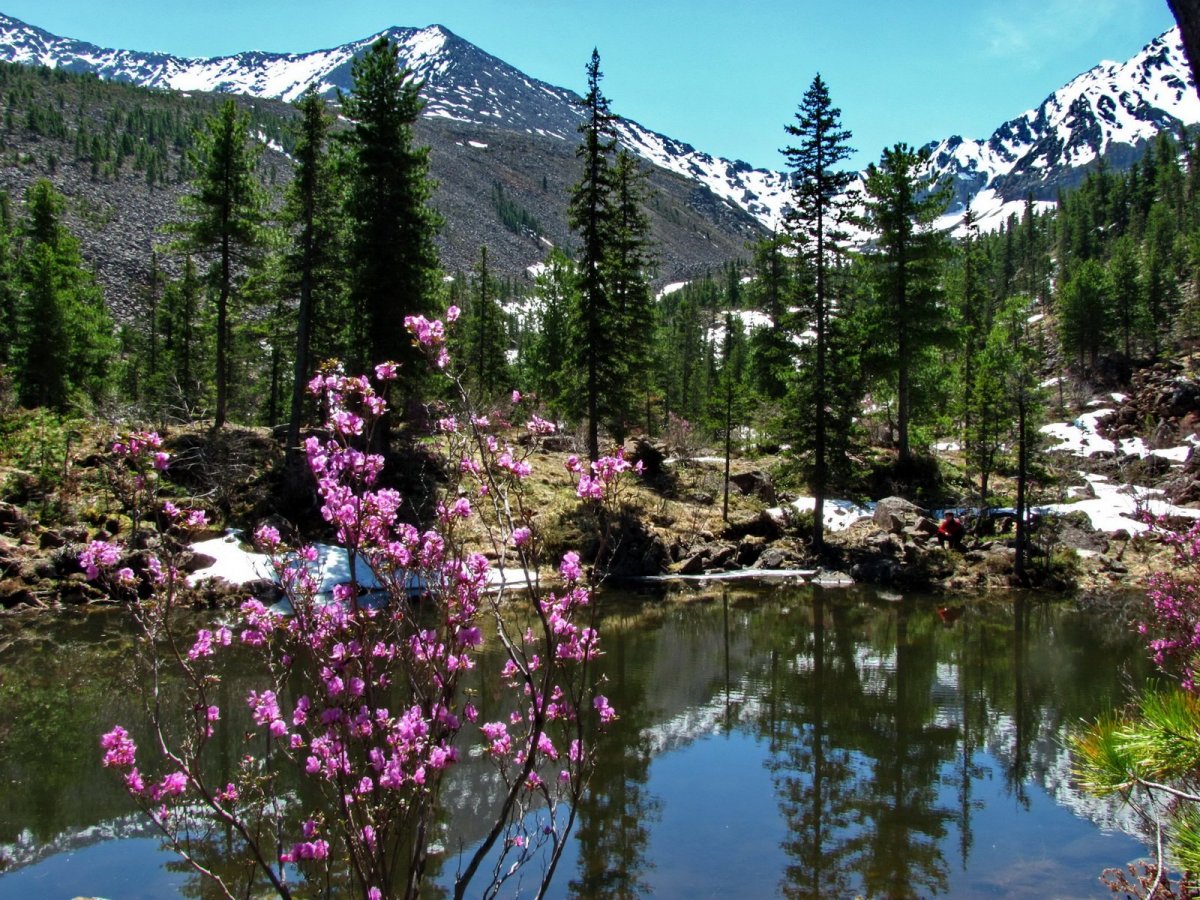 Саяны Хакасия природа