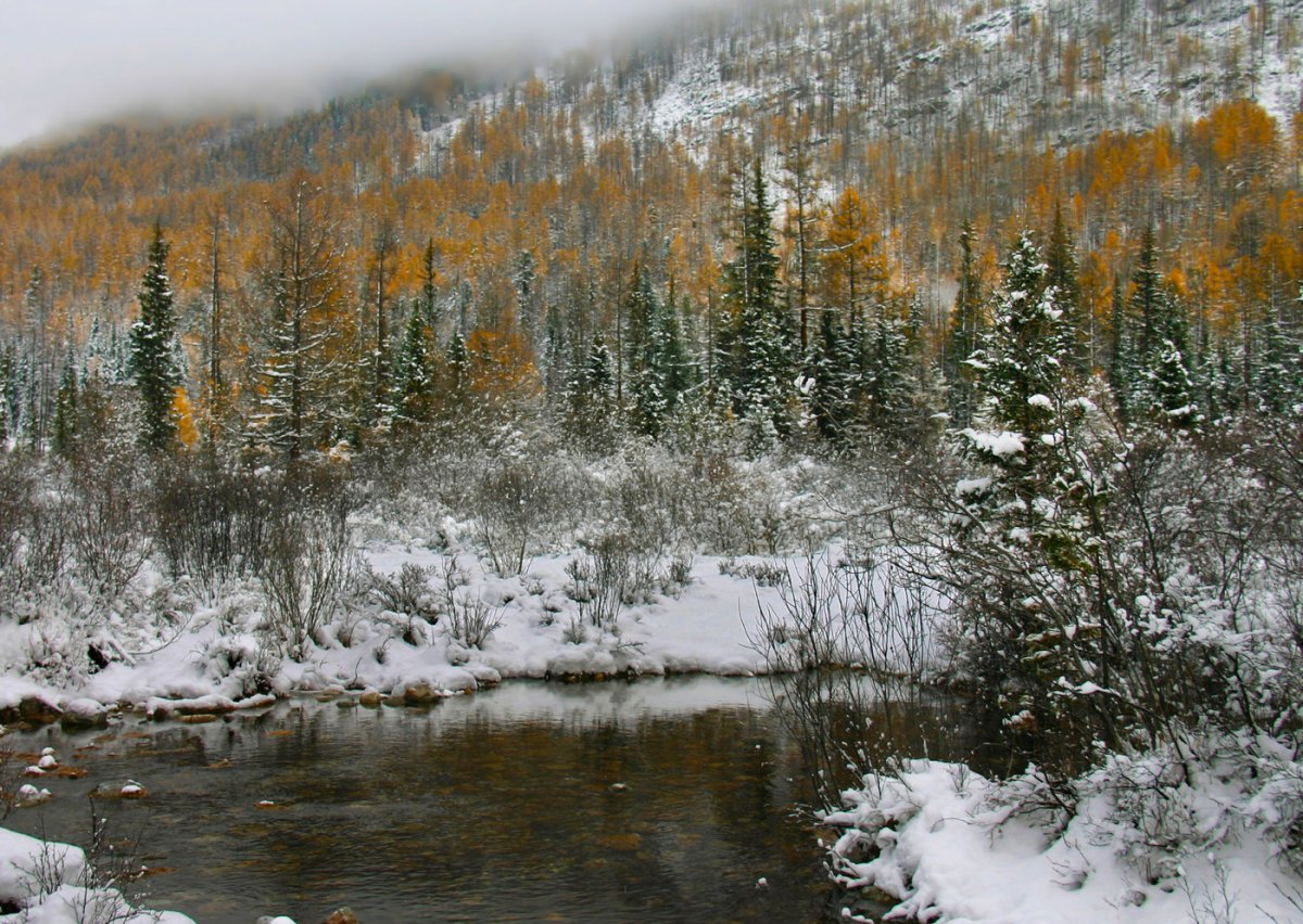 Осень в Сибири Тайга