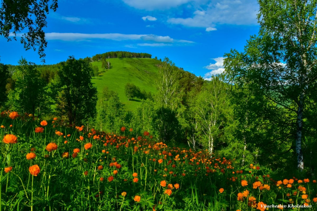 Горная Шория огоньки