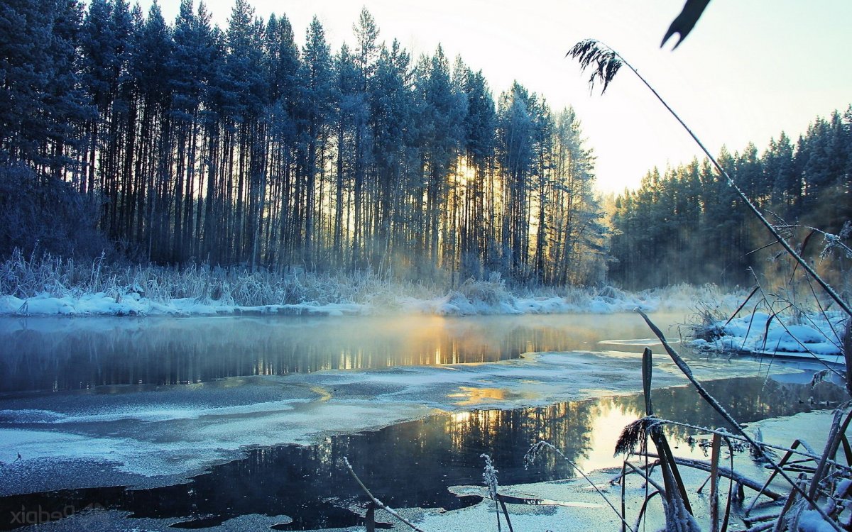 Замерзшее озеро в лесу
