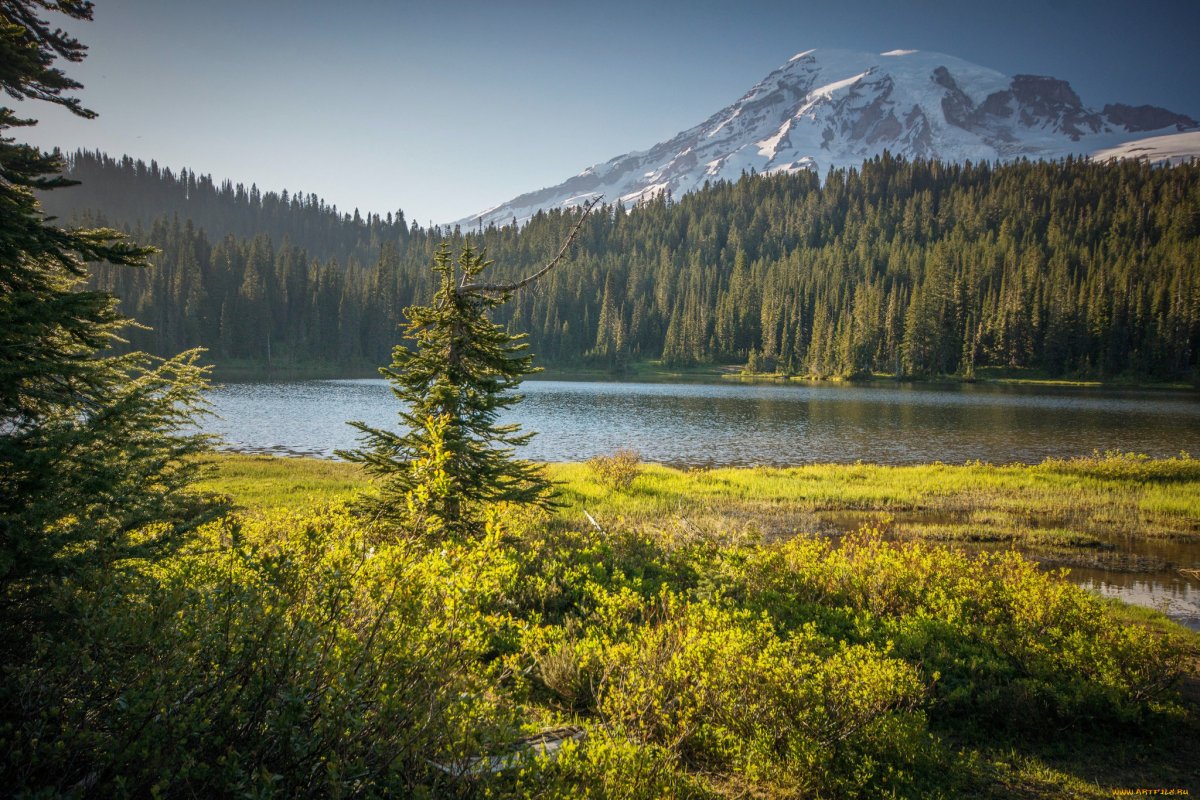 Природа лес речка Красноярского края