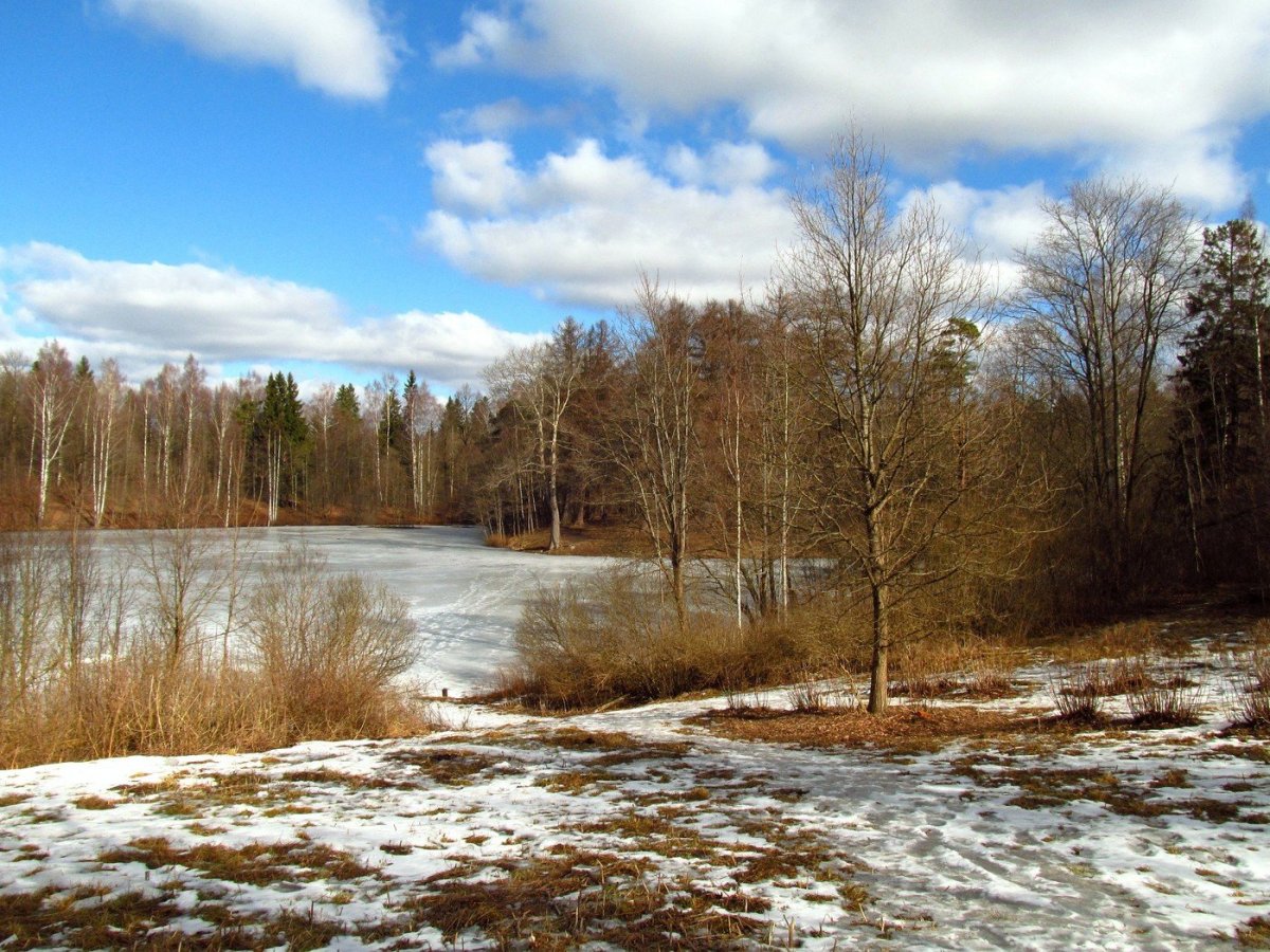 Ранняя Весна