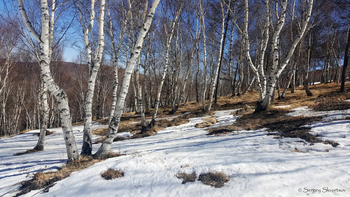 Ранняя Весна природа март