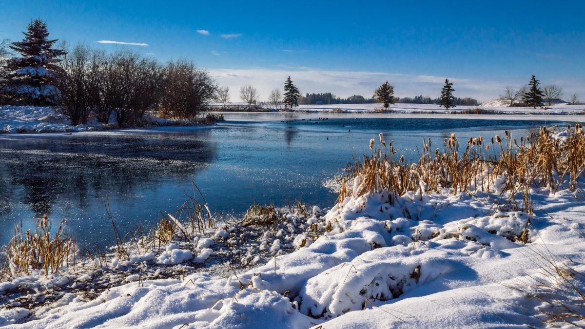 Зимний пейзаж