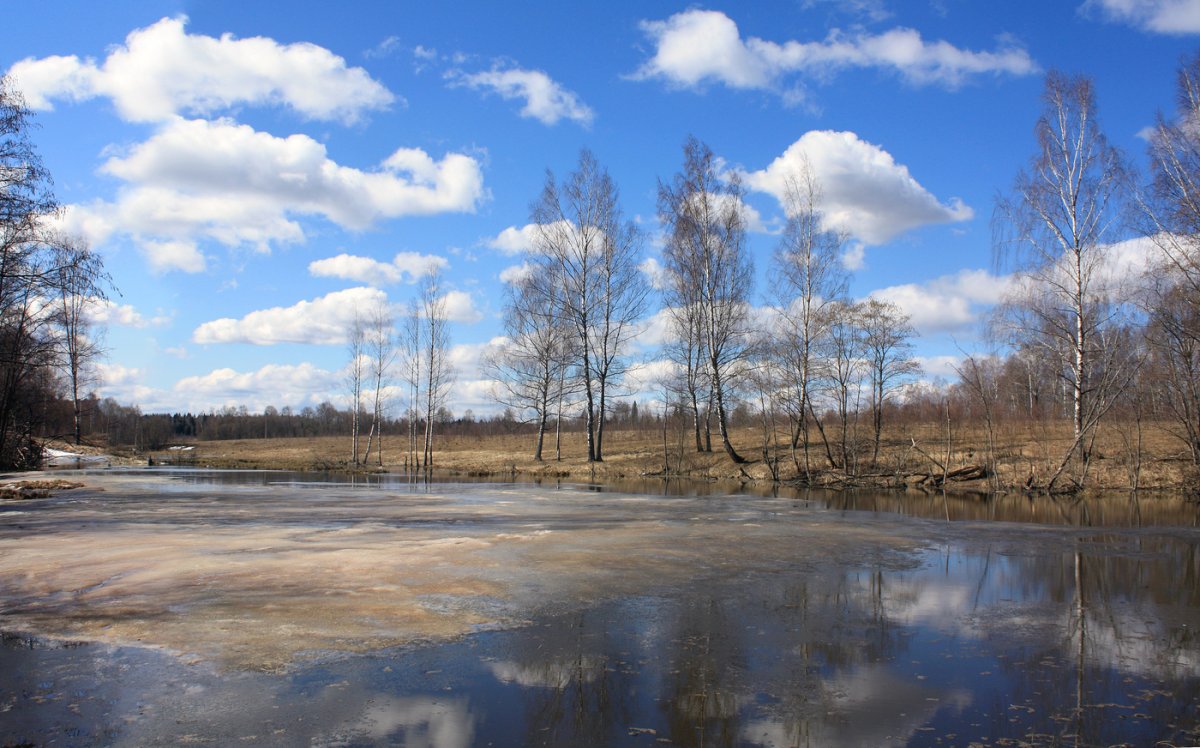 Природа ранней весной