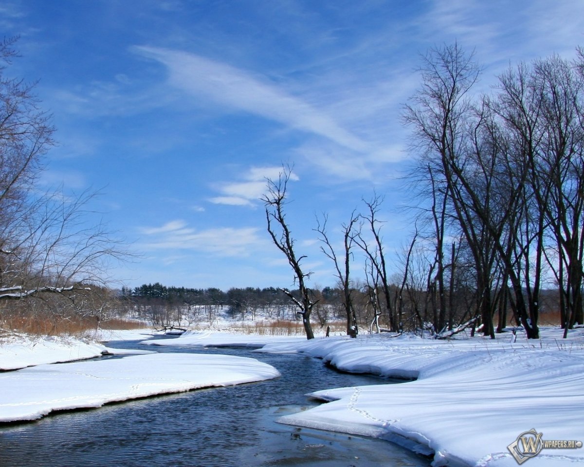 Ранняя Весенняя природа