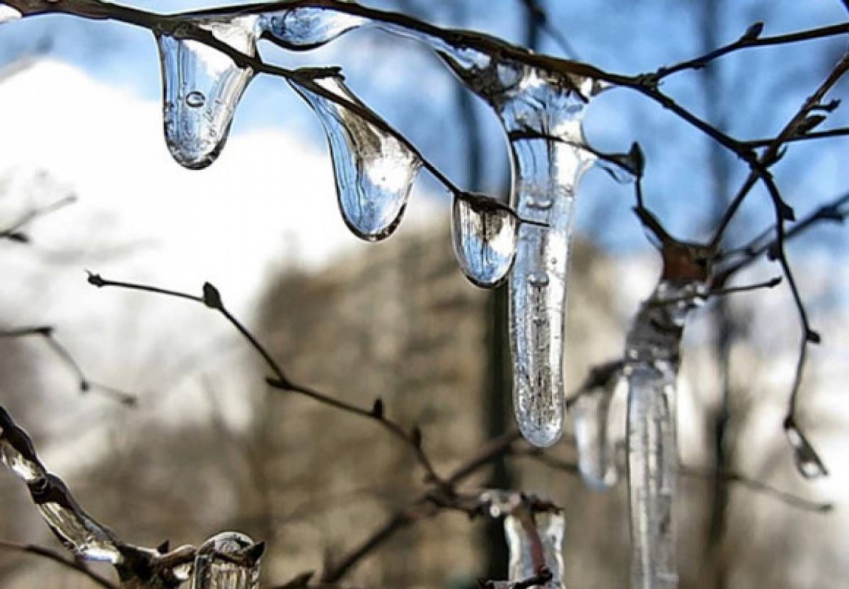 Апрельская капель