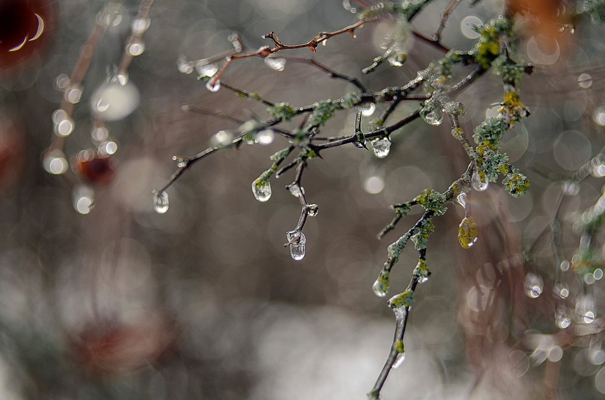 Весенняя оттепель