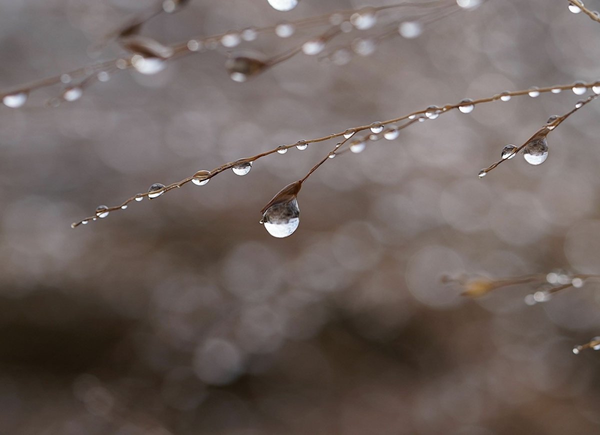 Весна капель