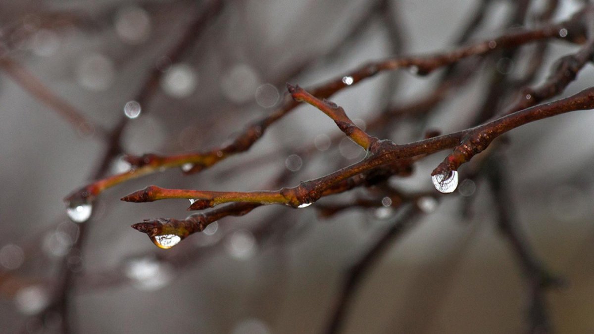 Весенняя природа оттепель