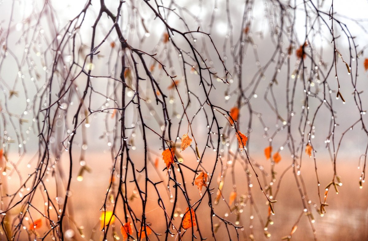 Поздняя осень