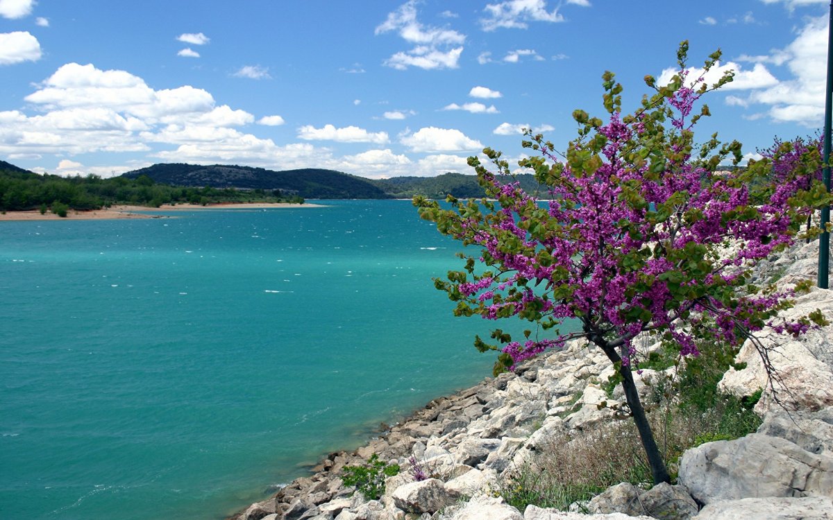 Море весной