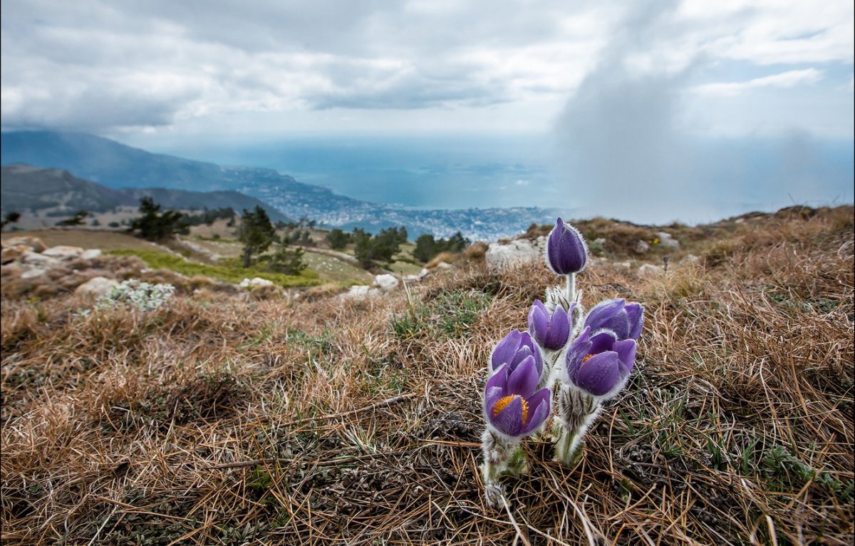 Крым Весна яйла