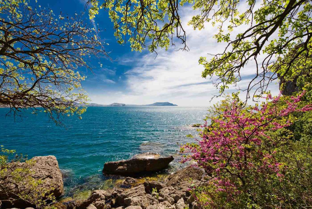 Новый свет Крым Весна