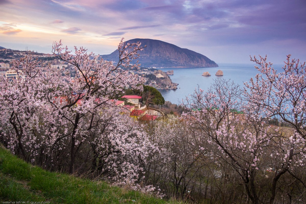 Весенний Гурзуф