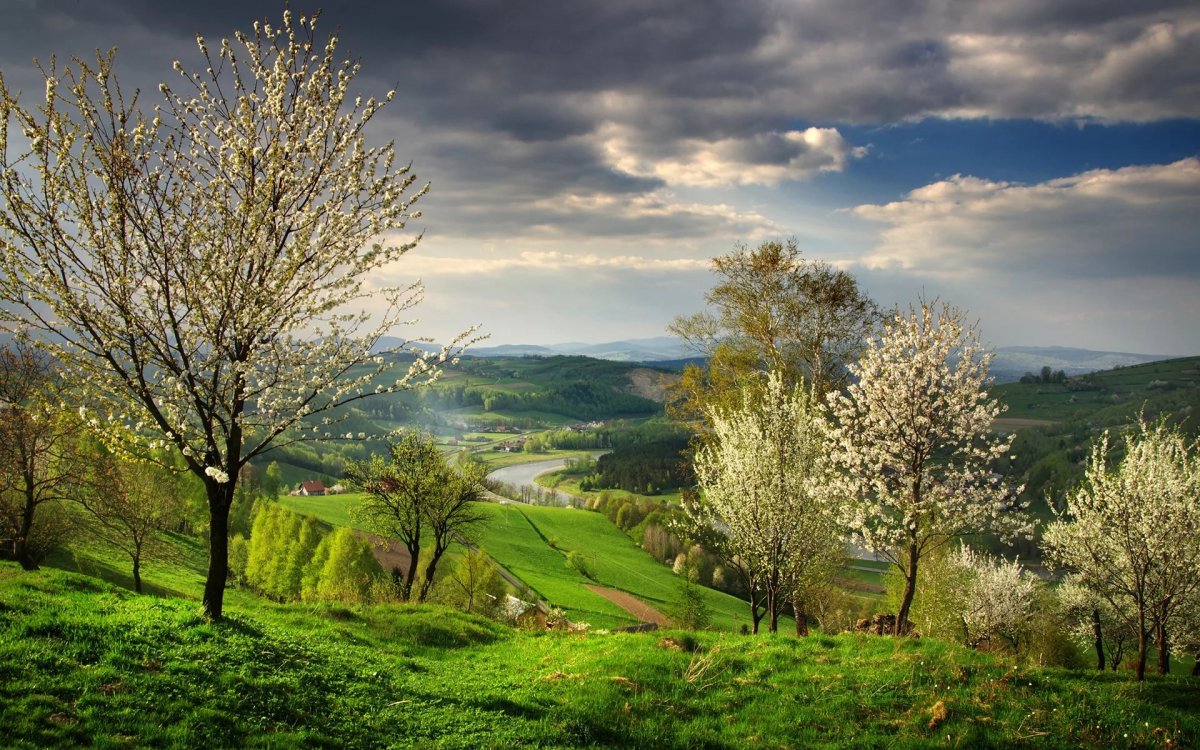 Природа весной