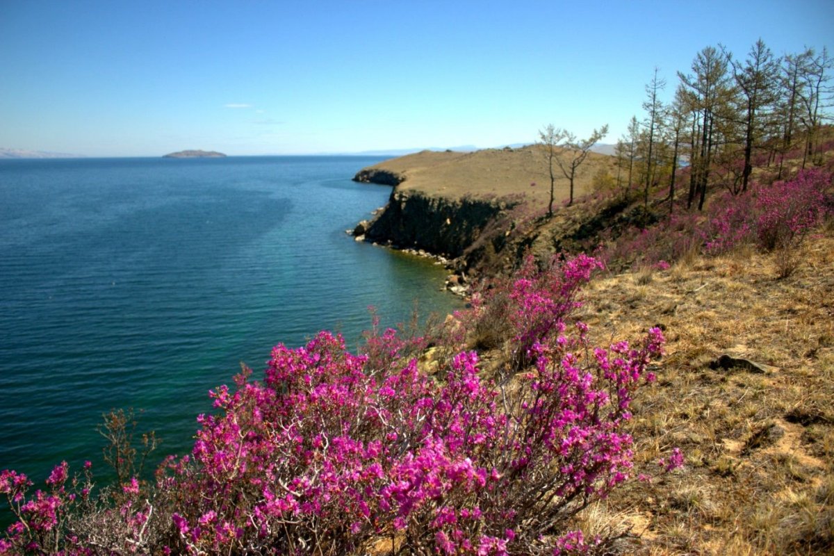 Вид на море