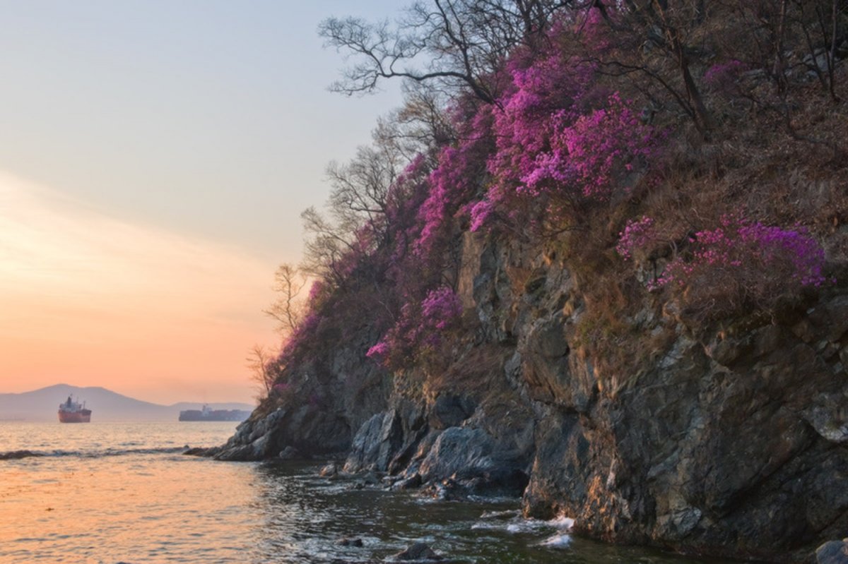 Весенний пейзаж Телецкое озеро