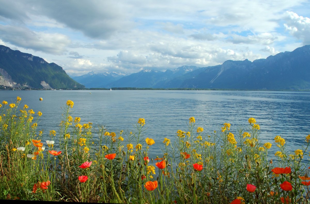 Ольхон Весна Байкал