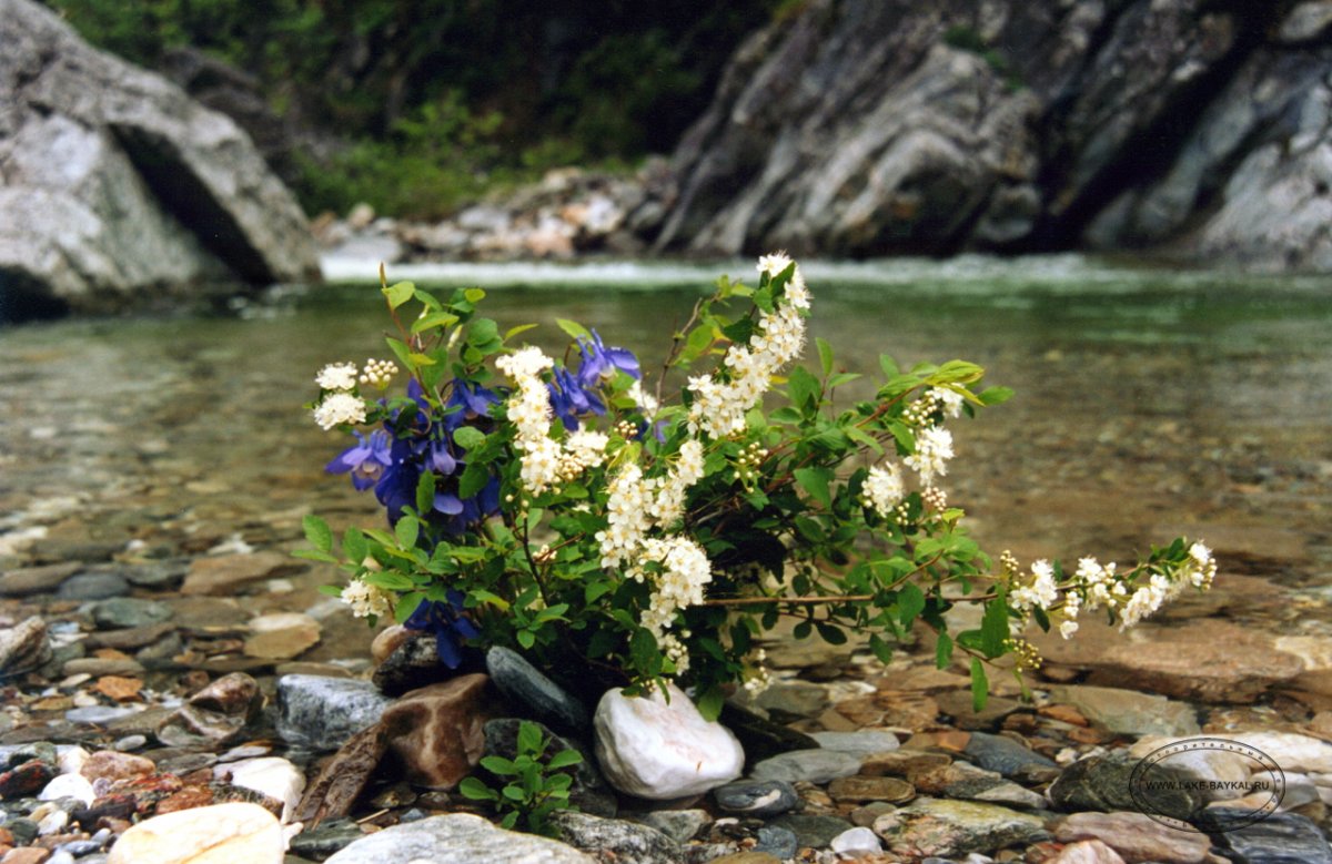 Озеро Байкал сейчас