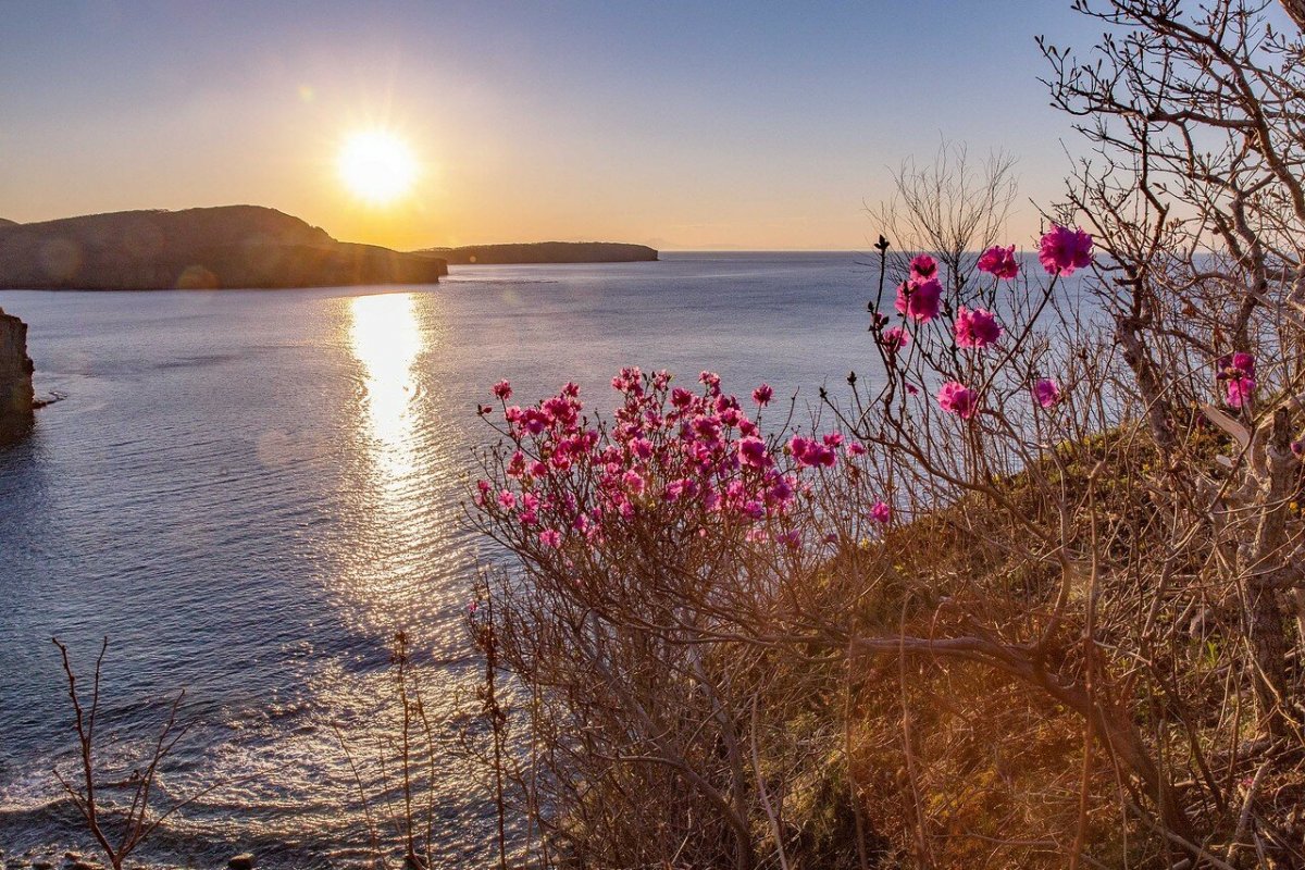 Спокойный пейзаж