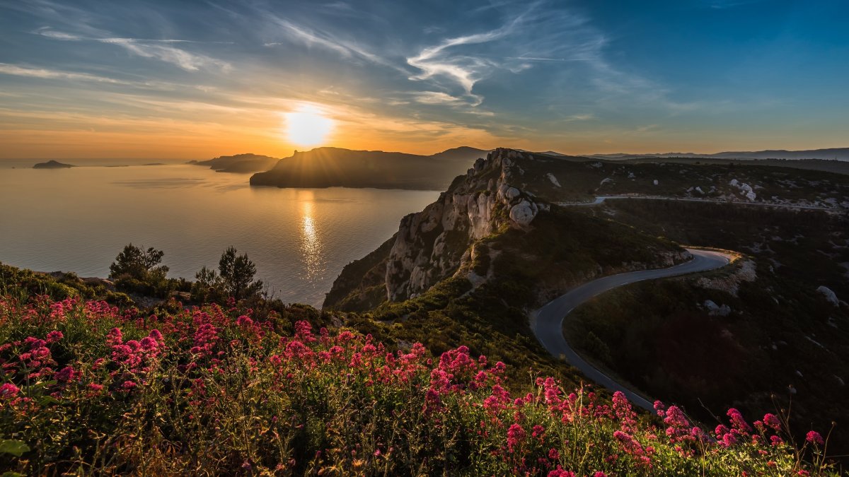 Багульник море Владивосток