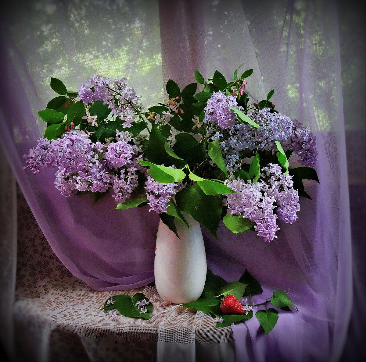 Композиции с сиренью