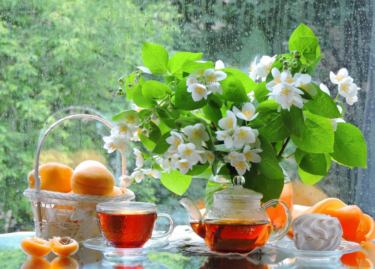 Натюрморт лето