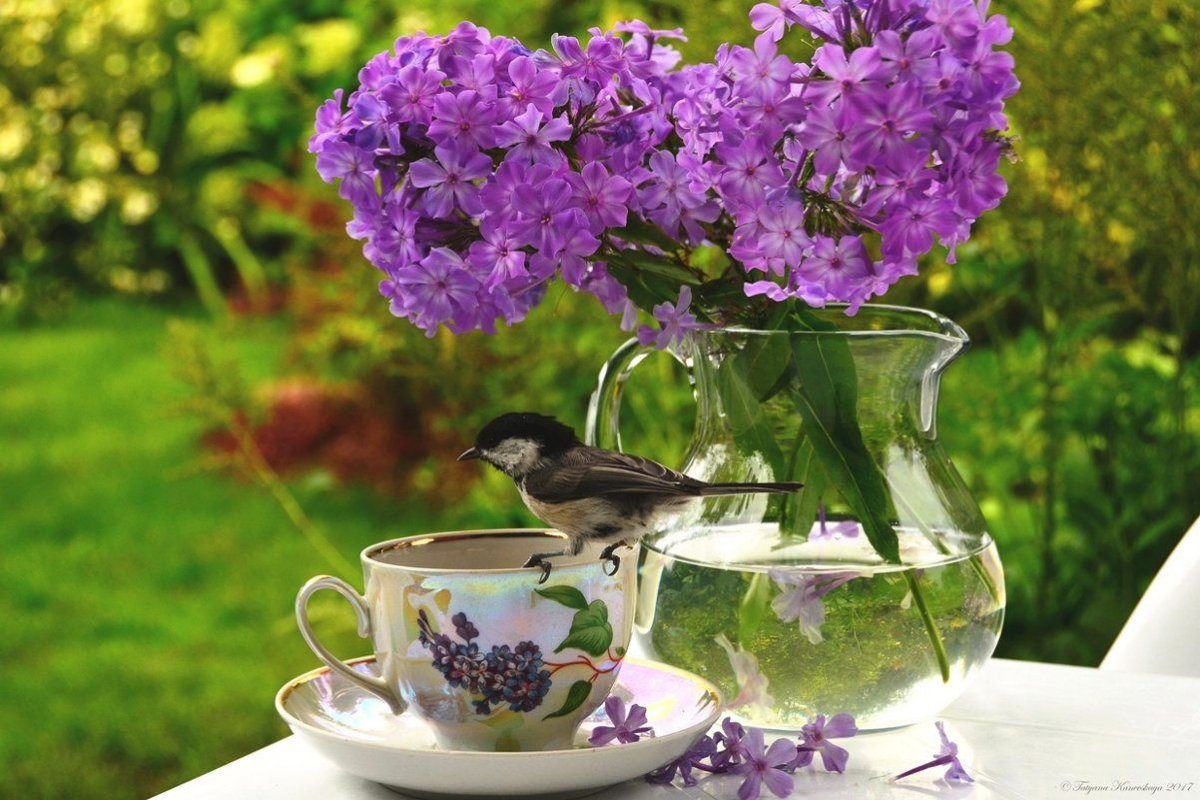 Прекрасного весеннего утра