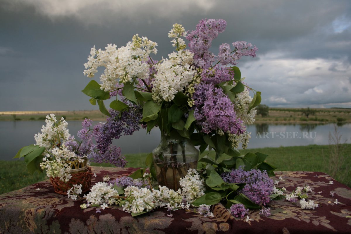 Красивые пейзажи с сиренью
